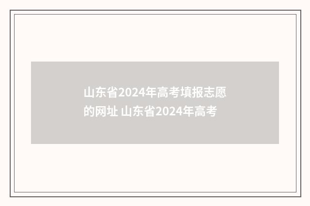 山东省2024年高考填报志愿的网址 山东省2024年高考