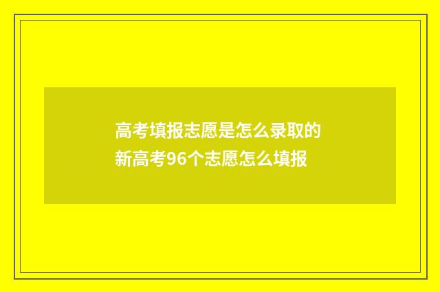 高考填报志愿是怎么录取的 新高考96个志愿怎么填报