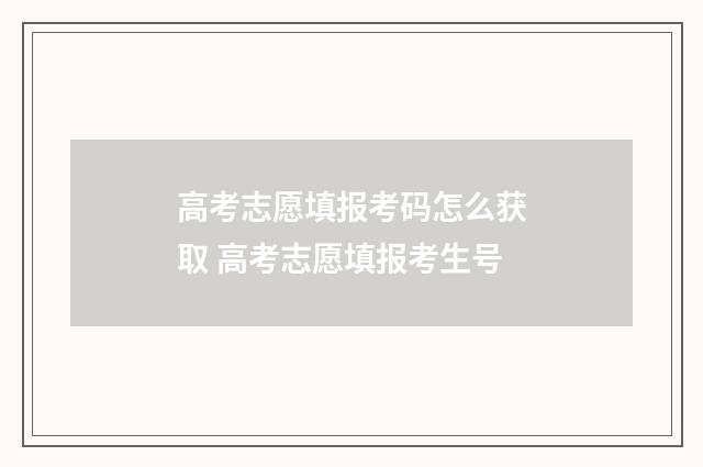 高考志愿填报考码怎么获取 高考志愿填报考生号
