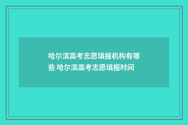 哈尔滨高考志愿填报机构有哪些 哈尔滨高考志愿填报时间