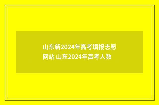 山东新2024年高考填报志愿网站 山东2024年高考人数