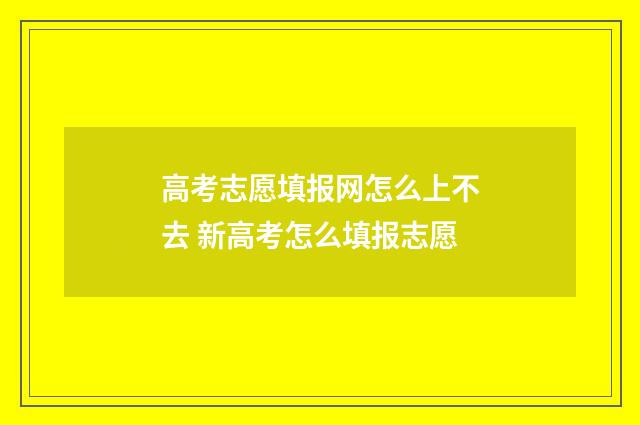 高考志愿填报网怎么上不去 新高考怎么填报志愿