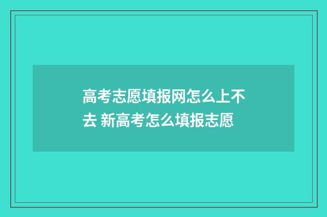 高考志愿填报网怎么上不去 新高考怎么填报志愿