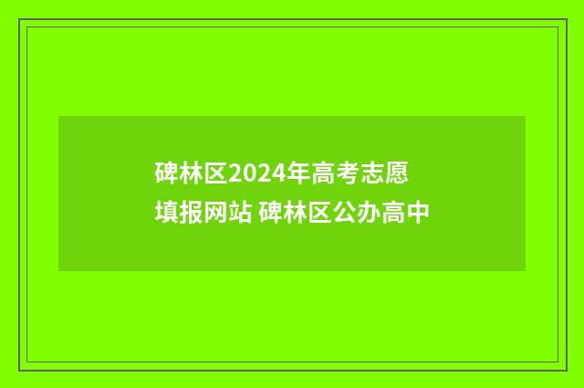 碑林区2024年高考志愿填报网站 碑林区公办高中