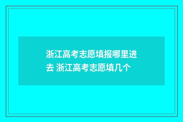 浙江高考志愿填报哪里进去 浙江高考志愿填几个