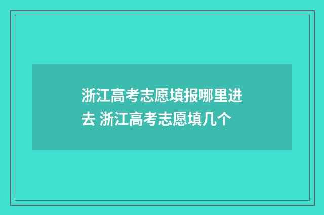 浙江高考志愿填报哪里进去 浙江高考志愿填几个