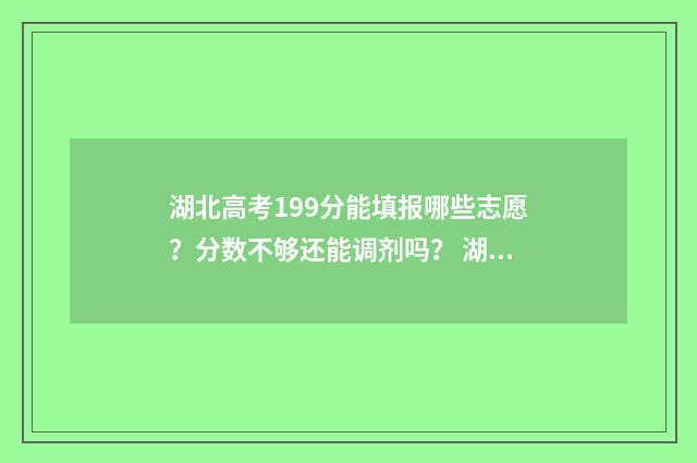 湖北高考199分能填报哪些志愿？分数不够还能调剂吗？ 湖北考生291分能上什么大学