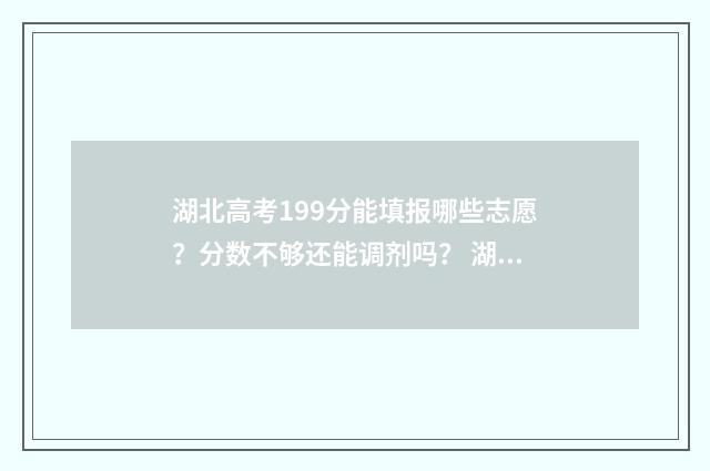 湖北高考199分能填报哪些志愿？分数不够还能调剂吗？ 湖北考生291分能上什么大学