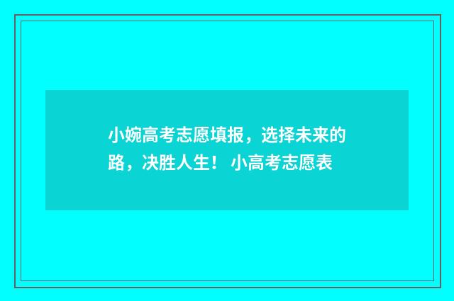 小婉高考志愿填报，选择未来的路，决胜人生！ 小高考志愿表