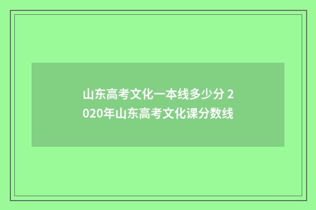 山东高考文化一本线多少分 2020年山东高考文化课分数线