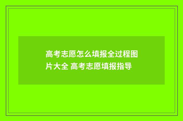 高考志愿怎么填报全过程图片大全 高考志愿填报指导
