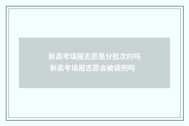 新高考填报志愿是分批次的吗 新高考填报志愿会被调剂吗