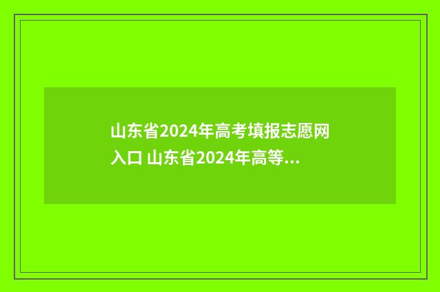 山东省2024年高考填报志愿网入口 山东省2024年高等学校招生考试信息平台