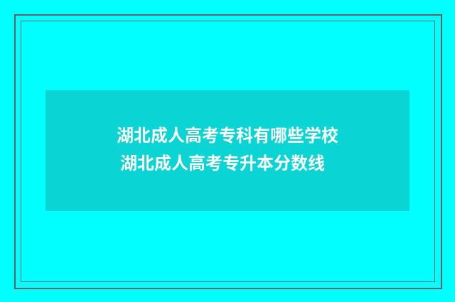 湖北成人高考专科有哪些学校 湖北成人高考专升本分数线