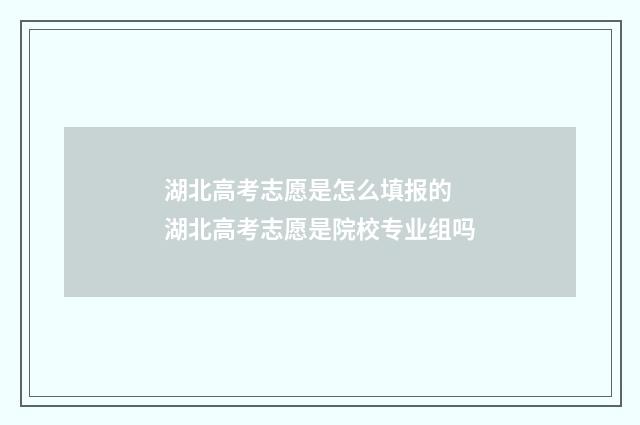 湖北高考志愿是怎么填报的 湖北高考志愿是院校专业组吗