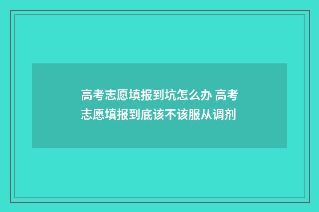 高考志愿填报到坑怎么办 高考志愿填报到底该不该服从调剂