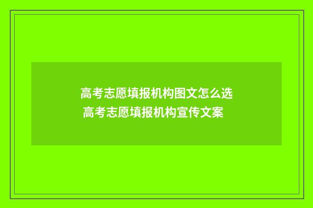 高考志愿填报机构图文怎么选 高考志愿填报机构宣传文案