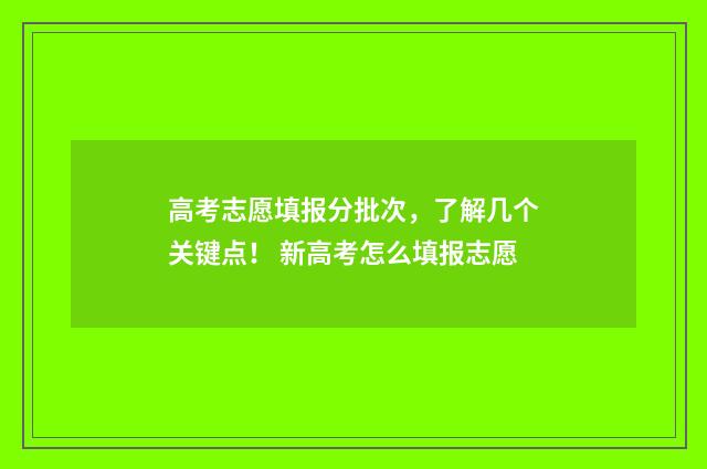 高考志愿填报分批次，了解几个关键点！ 新高考怎么填报志愿