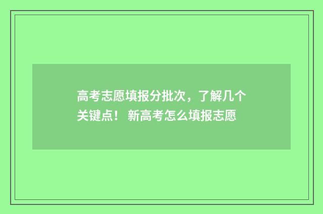 高考志愿填报分批次，了解几个关键点！ 新高考怎么填报志愿