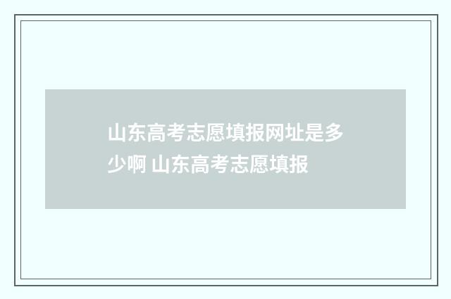 山东高考志愿填报网址是多少啊 山东高考志愿填报