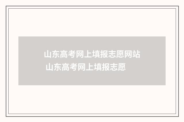 山东高考网上填报志愿网站 山东高考网上填报志愿