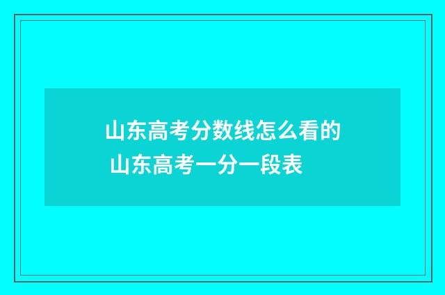 山东高考分数线怎么看的 山东高考一分一段表