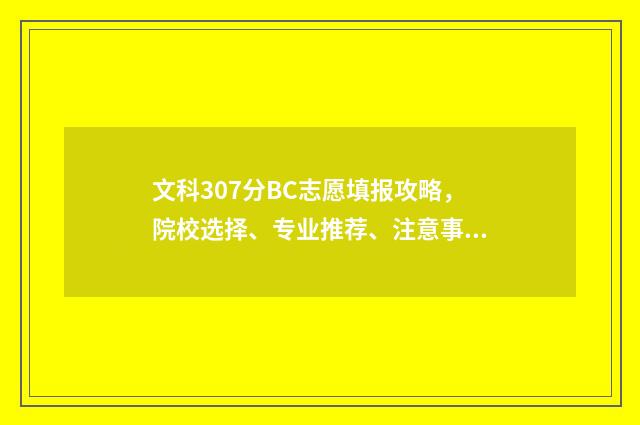 文科307分BC志愿填报攻略，院校选择、专业推荐、注意事项全指南 2021文科370分能上二本吗