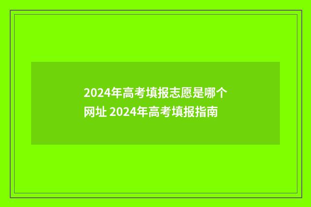 2024年高考填报志愿是哪个网址 2024年高考填报指南