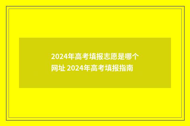 2024年高考填报志愿是哪个网址 2024年高考填报指南
