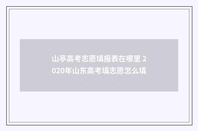 山亭高考志愿填报表在哪里 2020年山东高考填志愿怎么填