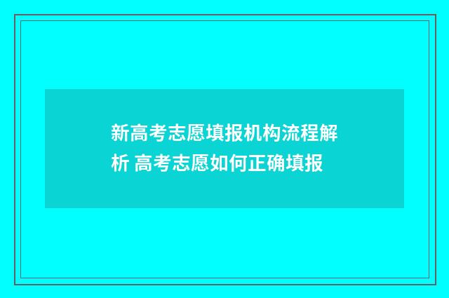 新高考志愿填报机构流程解析 高考志愿如何正确填报