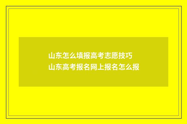 山东怎么填报高考志愿技巧 山东高考报名网上报名怎么报