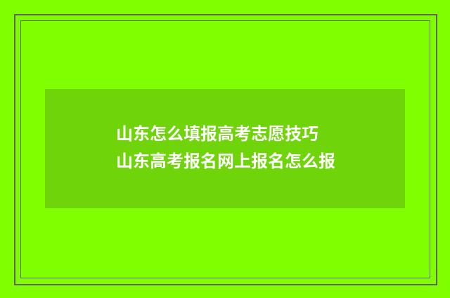 山东怎么填报高考志愿技巧 山东高考报名网上报名怎么报