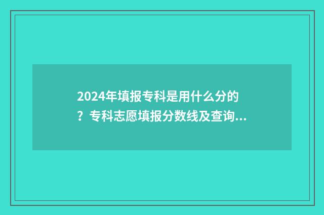 2024年填报专科是用什么分的？专科志愿填报分数线及查询方法 2024年填报专科志愿怎么填