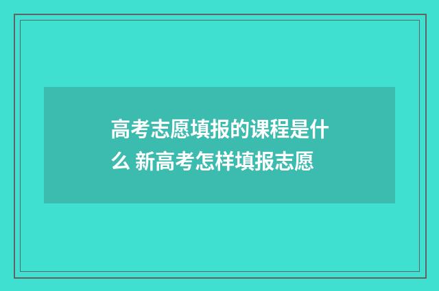 高考志愿填报的课程是什么 新高考怎样填报志愿