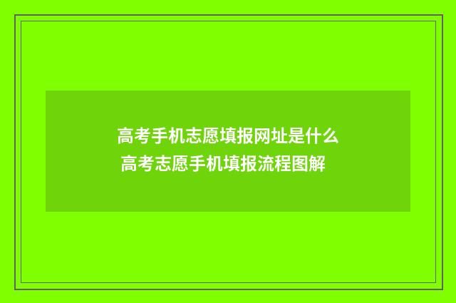 高考手机志愿填报网址是什么 高考志愿手机填报流程图解