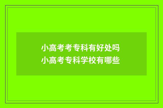 小高考考专科有好处吗 小高考专科学校有哪些