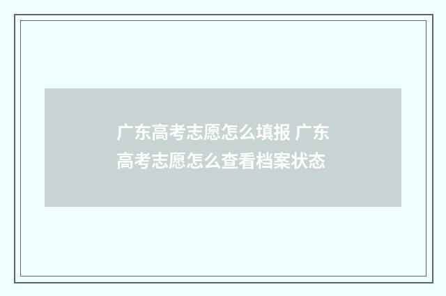 广东高考志愿怎么填报 广东高考志愿怎么查看档案状态
