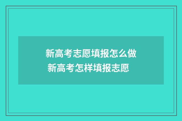 新高考志愿填报怎么做 新高考怎样填报志愿