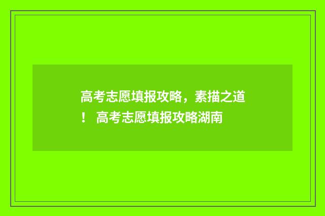 高考志愿填报攻略，素描之道！ 高考志愿填报攻略湖南