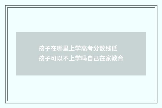 孩子在哪里上学高考分数线低 孩子可以不上学吗自己在家教育