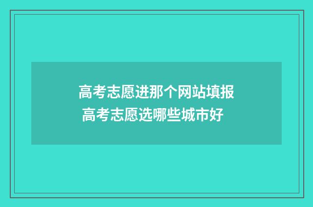 高考志愿进那个网站填报 高考志愿选哪些城市好