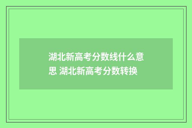 湖北新高考分数线什么意思 湖北新高考分数转换