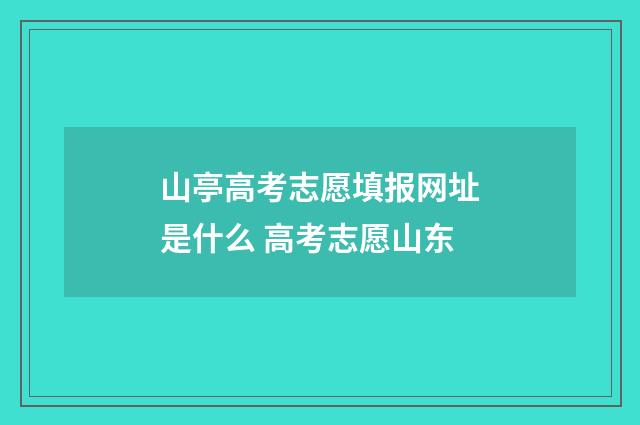 山亭高考志愿填报网址是什么 高考志愿山东