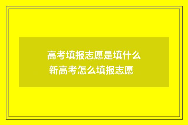 高考填报志愿是填什么 新高考怎么填报志愿