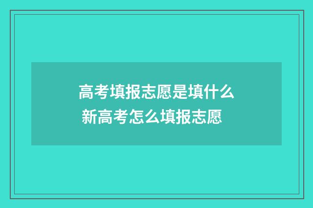 高考填报志愿是填什么 新高考怎么填报志愿