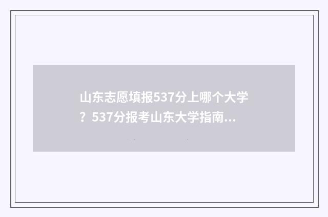 山东志愿填报537分上哪个大学？537分报考山东大学指南 山东志愿填报规则