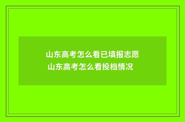 山东高考怎么看已填报志愿 山东高考怎么看投档情况