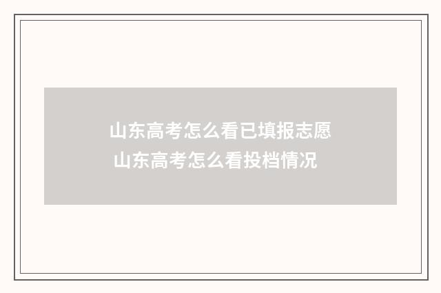山东高考怎么看已填报志愿 山东高考怎么看投档情况