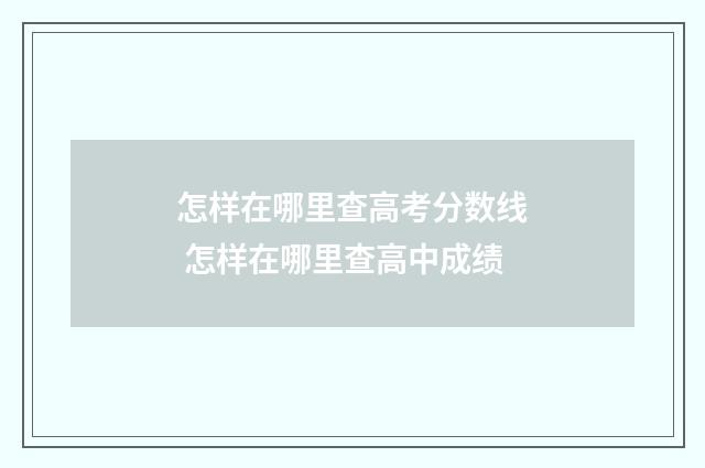 怎样在哪里查高考分数线 怎样在哪里查高中成绩